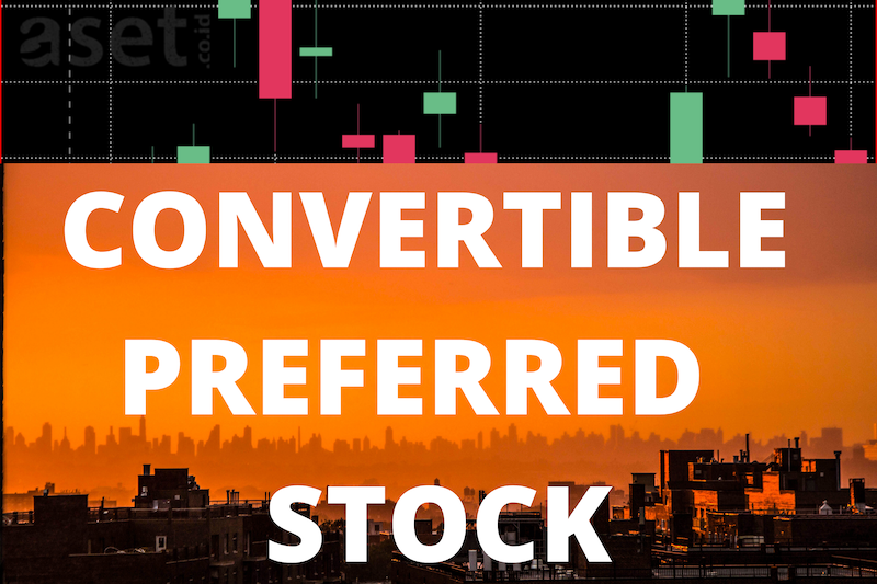 Convertible-Preferred-Stock