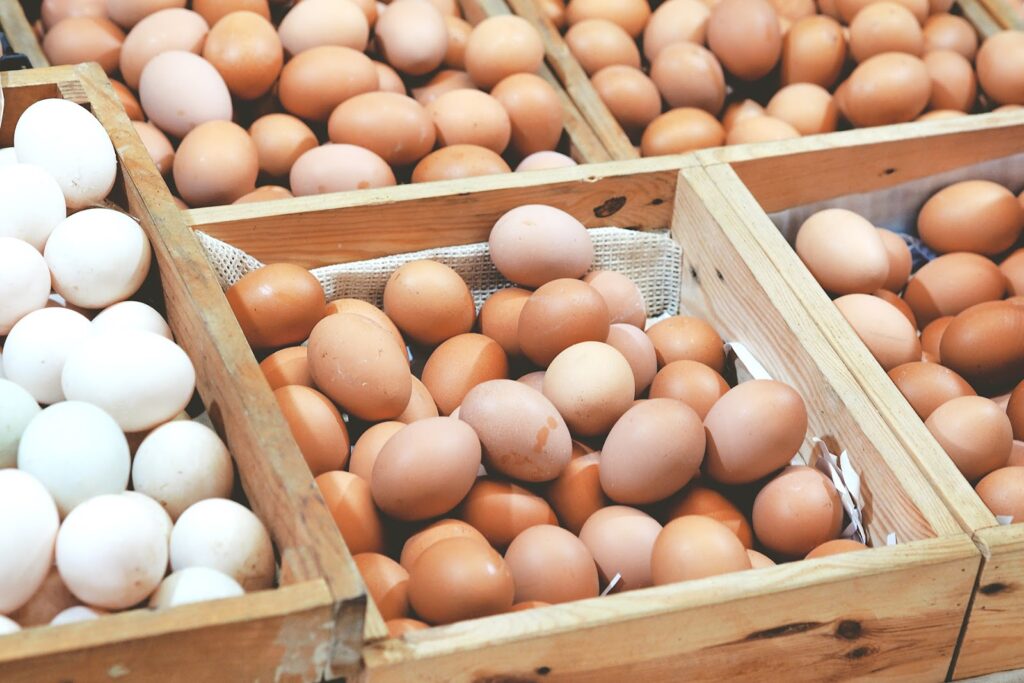 Jalin-Kerjasama-dengan-Distributor usaha jual telur ayam
