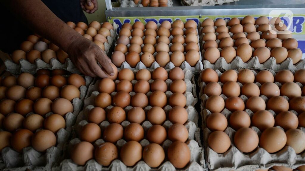 Pertimbangkan-Penjualan-Telur-Ayam usaha jual telur ayam