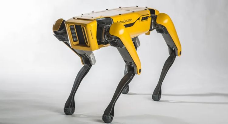 Robot-Anjing
